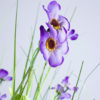 fialové květy 70 cm