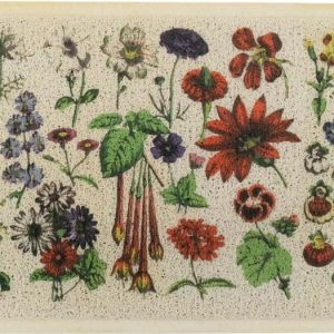 Rohožka 40x70 cm Botanicals – Artsy Doormats