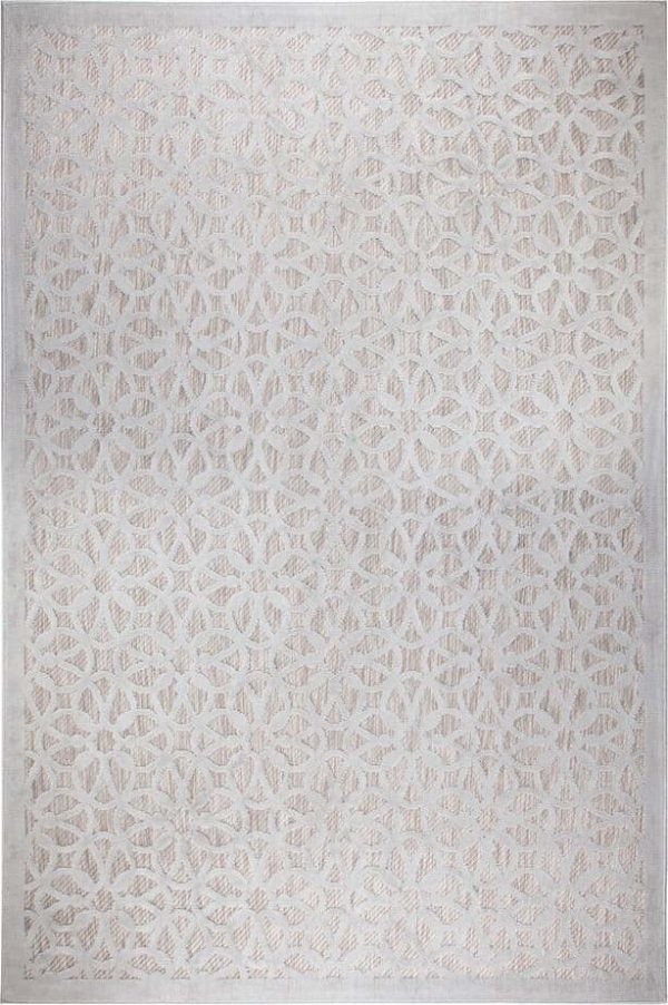 Šedý venkovní koberec 290x200 cm Argento - Flair Rugs