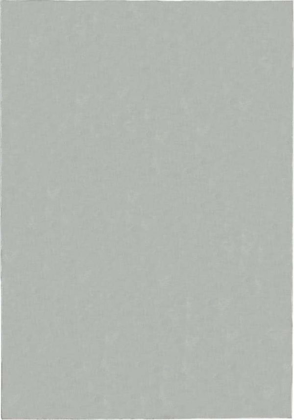 Světle šedý koberec 60x110 cm – Flair Rugs