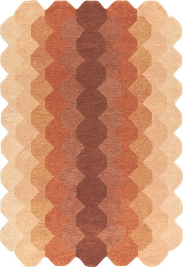 Vlněný koberec v cihlové barvě 200x290 cm Hive – Asiatic Carpets