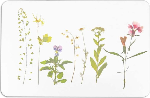 Bílá koupelnová předložka z křemeliny 39x60 cm – Artsy Doormats