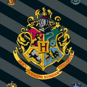 Fleecová dětská deka 100x150 cm Harry Potter – Jerry Fabrics