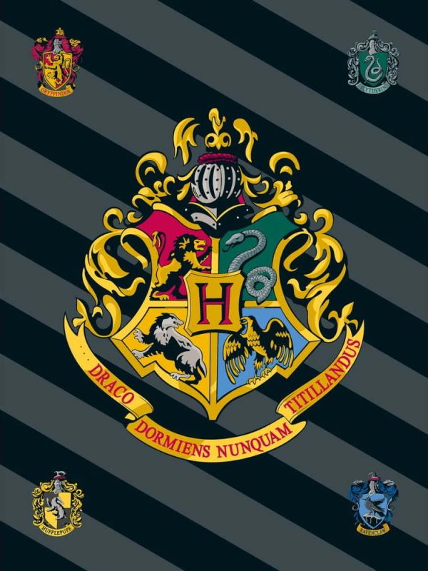 Fleecová dětská deka 100x150 cm Harry Potter – Jerry Fabrics