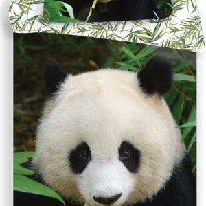 Bavlněné dětské povlečení na jednolůžko 140x200 cm Panda – Jerry Fabrics