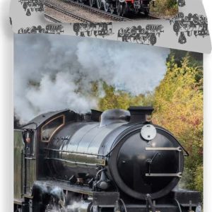 Bavlněné dětské povlečení na jednolůžko 140x200 cm Train – Jerry Fabrics