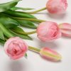 Svazek tulipány plnokvěté 39 cm, 5 ks - Image 4