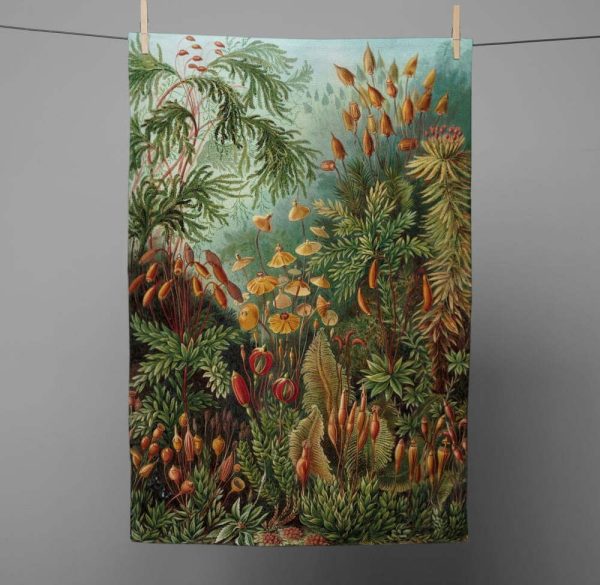 Utěrka 43x64 cm Deep Forest – Madre Selva