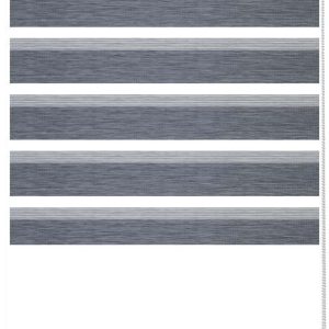 Antracitová roleta den a noc 97x150 cm Zebra Silvalin – Gardinia