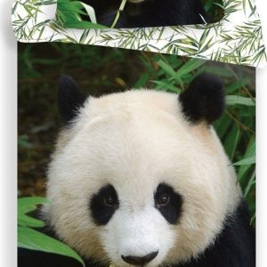 Bavlněné dětské povlečení na jednolůžko 140x200 cm Panda – Jerry Fabrics