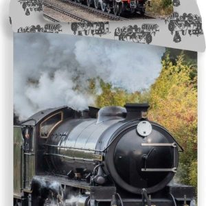 Bavlněné dětské povlečení na jednolůžko 140x200 cm Train – Jerry Fabrics