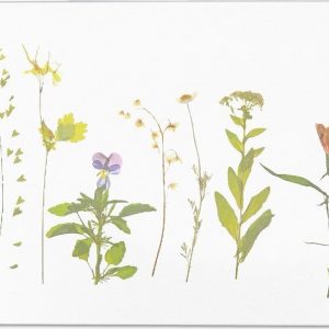 Bílá koupelnová předložka z křemeliny 39x60 cm – Artsy Doormats