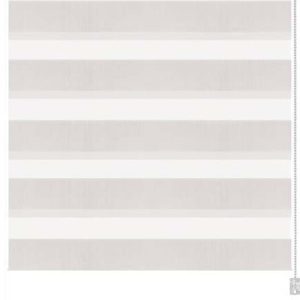 Bílá roleta den a noc 68x215 cm Zebra – Gardinia