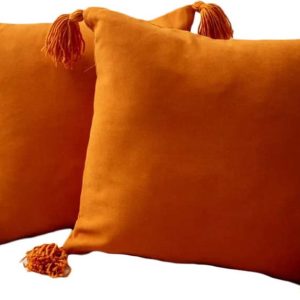 Povlaky na polštáře v sadě 2 ks 43x43 cm Puskul – Mioli Decor