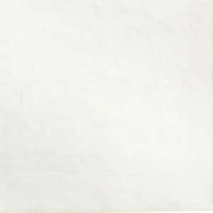 Lněný ubrousek 42x42 cm Lineo – Blomus