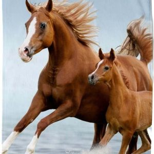 Modrá/hnědá dětská sametová plážová osuška 75x150 cm Free – Good Morning