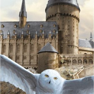 Bavlněná dětská osuška 70x140 cm Harry Potter "Hedwig" – Jerry Fabrics
