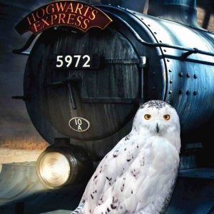 Bavlněná dětská osuška 70x140 cm Harry Potter "Hedwig" – Jerry Fabrics