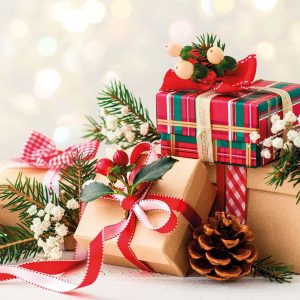 Ubrousky v sadě 20 ks 33x33 cm Noel – Homéa