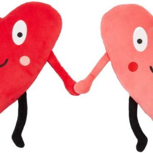 Plyšové dětské polštářky v sadě 2 ks 29x36 cm Forever Together – Catherine Lansfield