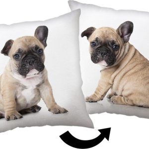 Dětský polštářek 40x40 cm Bulldog – Jerry Fabrics