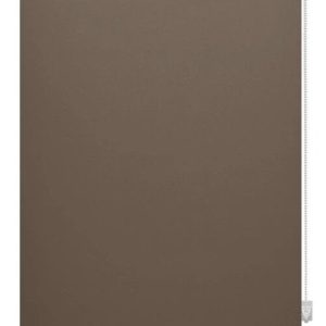 Hnědá roleta 80x150 cm Mini Termo – Gardinia