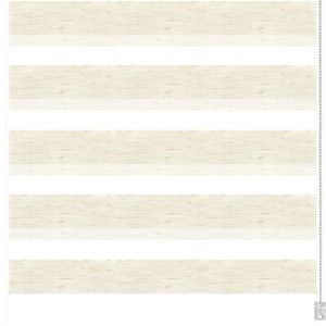 Roleta den a noc v přírodní barvě 68x215 cm Zebra Silvalin – Gardinia