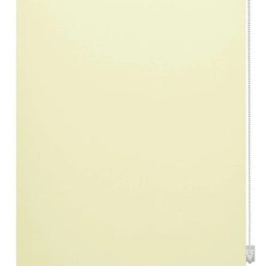 Roleta v přírodní barvě 97x150 cm Mini Termo – Gardinia